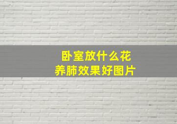 卧室放什么花养肺效果好图片