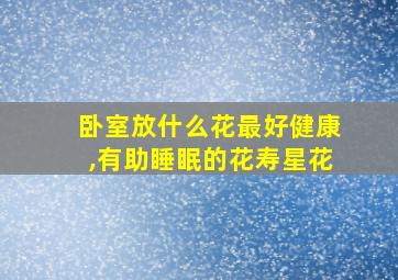 卧室放什么花最好健康,有助睡眠的花寿星花