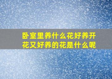 卧室里养什么花好养开花又好养的花是什么呢