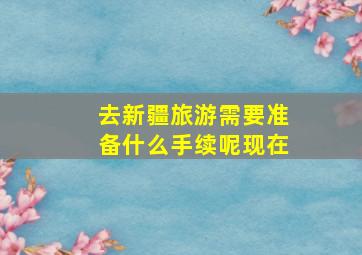 去新疆旅游需要准备什么手续呢现在