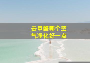 去甲醛哪个空气净化好一点