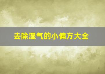 去除湿气的小偏方大全