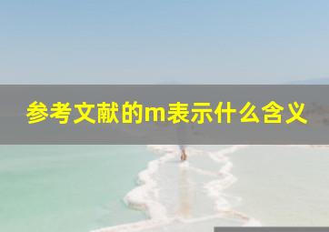 参考文献的m表示什么含义