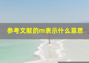 参考文献的m表示什么意思