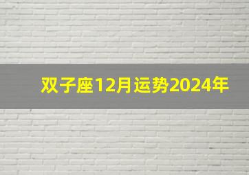 双子座12月运势2024年