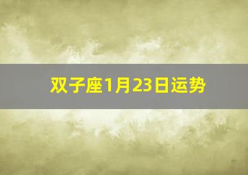 双子座1月23日运势