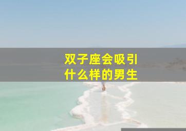 双子座会吸引什么样的男生