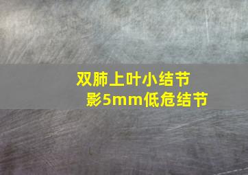 双肺上叶小结节影5mm低危结节