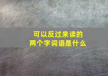 可以反过来读的两个字词语是什么