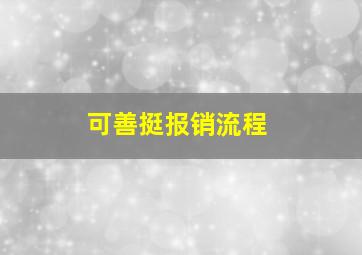 可善挺报销流程