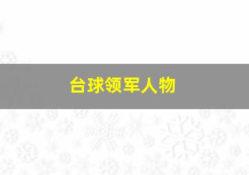 台球领军人物