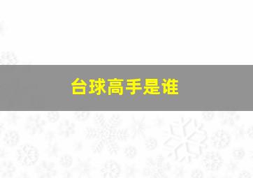 台球高手是谁