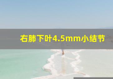 右肺下叶4.5mm小结节