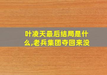 叶凌天最后结局是什么,老兵集团夺回来没