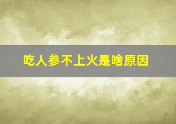 吃人参不上火是啥原因