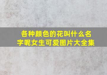 各种颜色的花叫什么名字呢女生可爱图片大全集