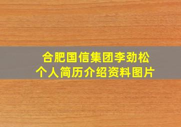 合肥国信集团李劲松个人简历介绍资料图片