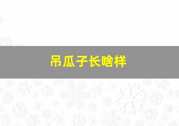 吊瓜子长啥样