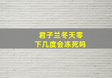 君子兰冬天零下几度会冻死吗