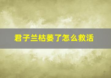 君子兰枯萎了怎么救活