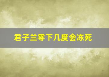 君子兰零下几度会冻死