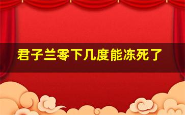 君子兰零下几度能冻死了