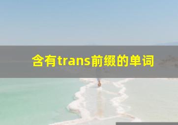 含有trans前缀的单词