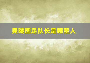 吴曦国足队长是哪里人