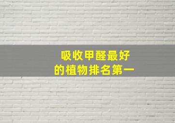 吸收甲醛最好的植物排名第一