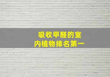 吸收甲醛的室内植物排名第一