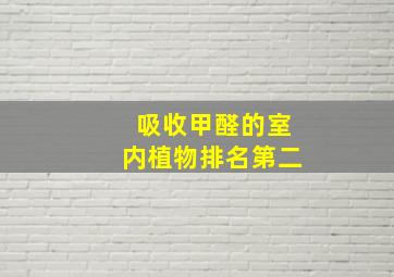 吸收甲醛的室内植物排名第二