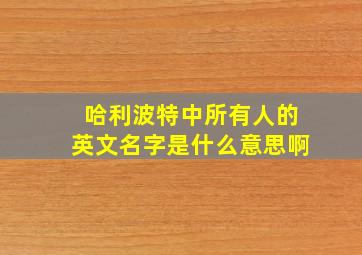 哈利波特中所有人的英文名字是什么意思啊