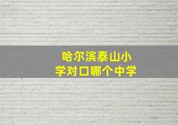 哈尔滨泰山小学对口哪个中学