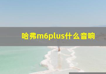 哈弗m6plus什么音响