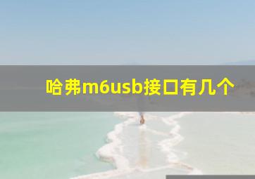 哈弗m6usb接口有几个