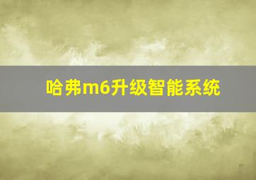 哈弗m6升级智能系统