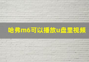 哈弗m6可以播放u盘里视频