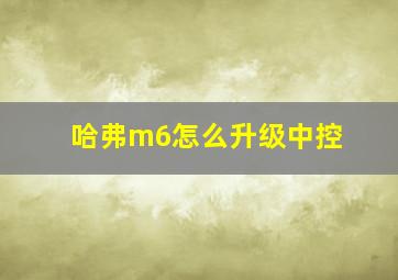 哈弗m6怎么升级中控