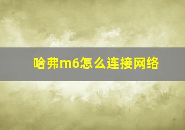 哈弗m6怎么连接网络