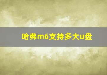 哈弗m6支持多大u盘