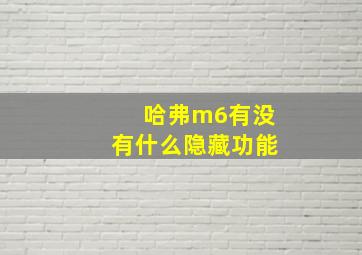 哈弗m6有没有什么隐藏功能