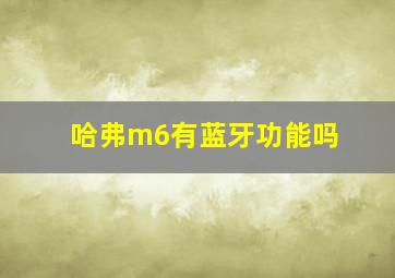 哈弗m6有蓝牙功能吗