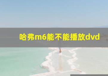 哈弗m6能不能播放dvd