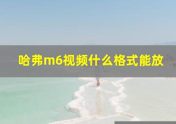 哈弗m6视频什么格式能放