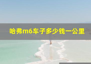 哈弗m6车子多少钱一公里