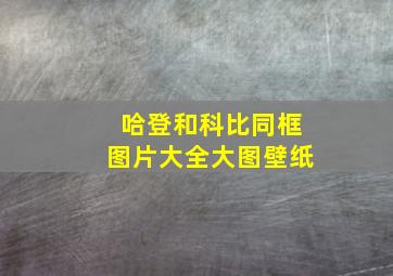 哈登和科比同框图片大全大图壁纸