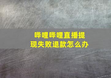 哔哩哔哩直播提现失败退款怎么办