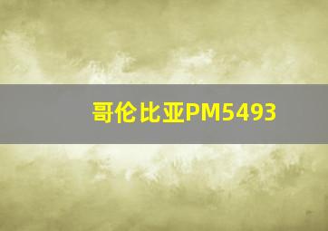 哥伦比亚PM5493