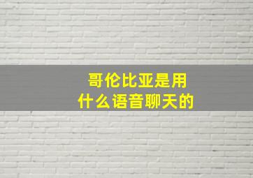 哥伦比亚是用什么语音聊天的