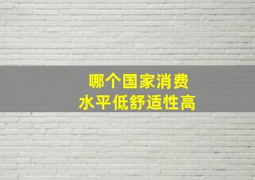 哪个国家消费水平低舒适性高